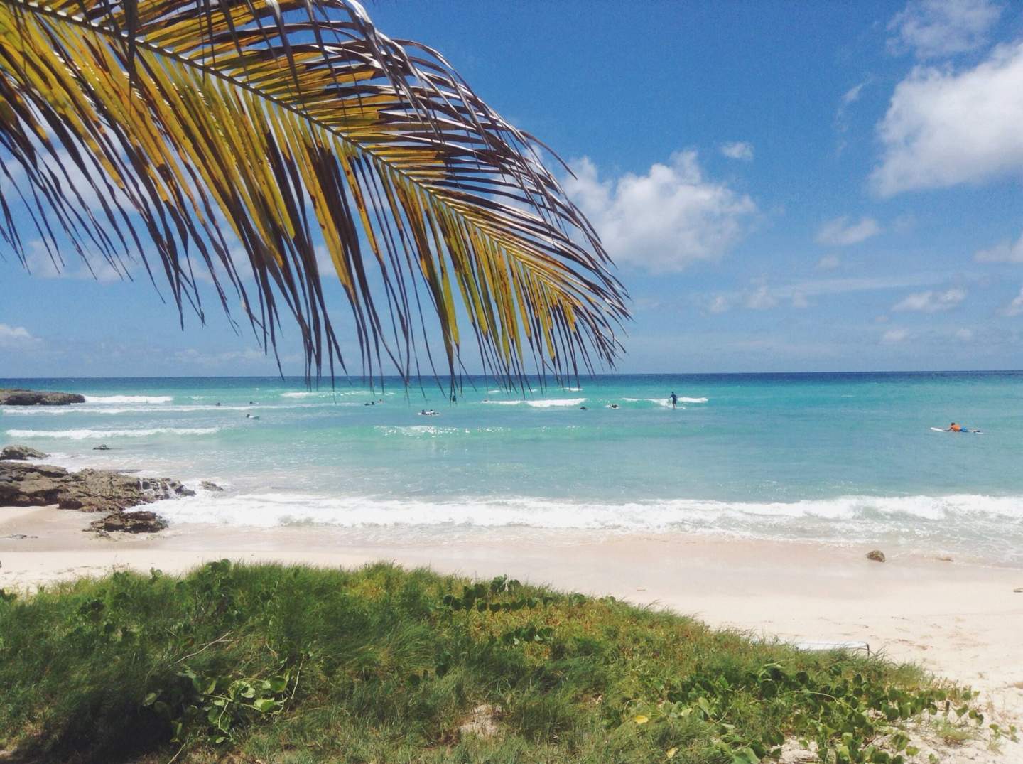 Best Beginner Surf Beaches in Barbados