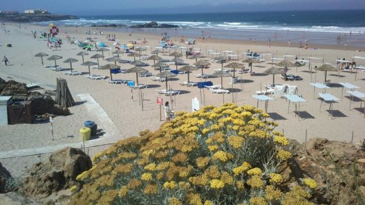 Guincho Beach.